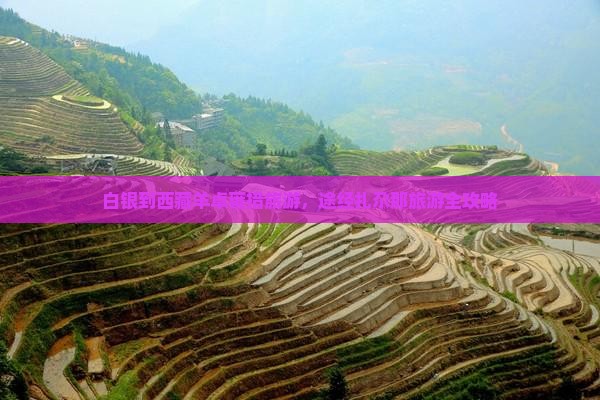 白银到西藏羊卓雍措旅游