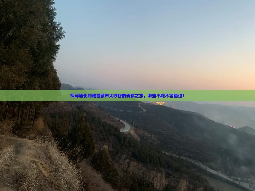 通化去西藏雅鲁藏布大峡谷旅游小吃