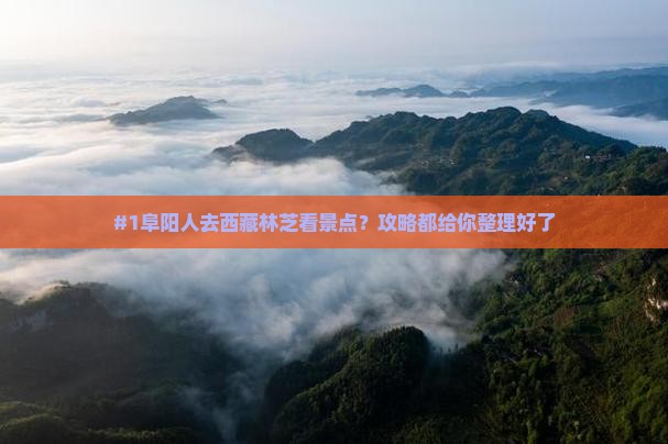 阜阳去西藏林芝景点