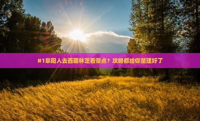 阜阳去西藏林芝景点