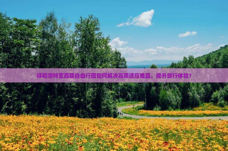 呼和浩特到西藏自由团