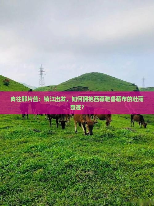 镇江去西藏雅鲁藏布大峡谷旅游