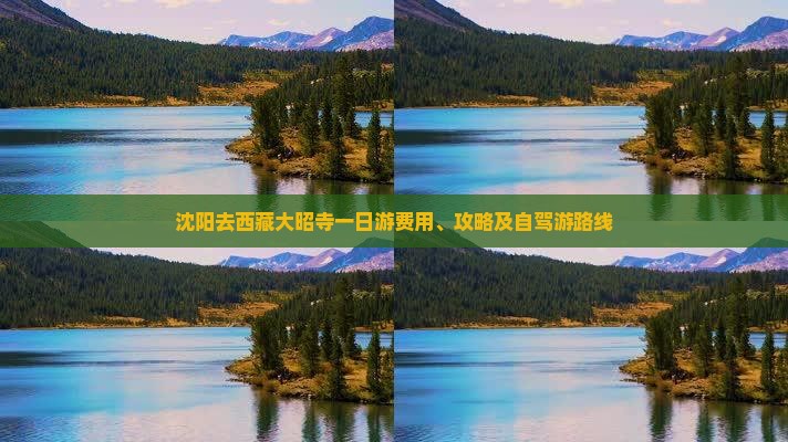 沈阳去西藏大昭寺一日