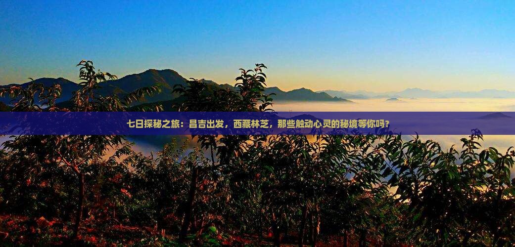 昌吉去西藏林芝七日游