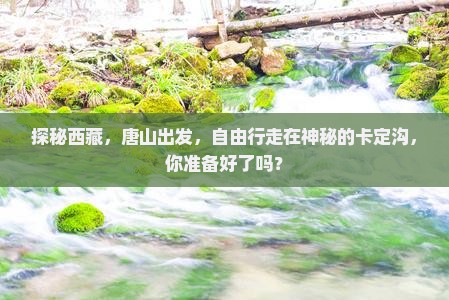 唐山去西藏卡定沟自由团