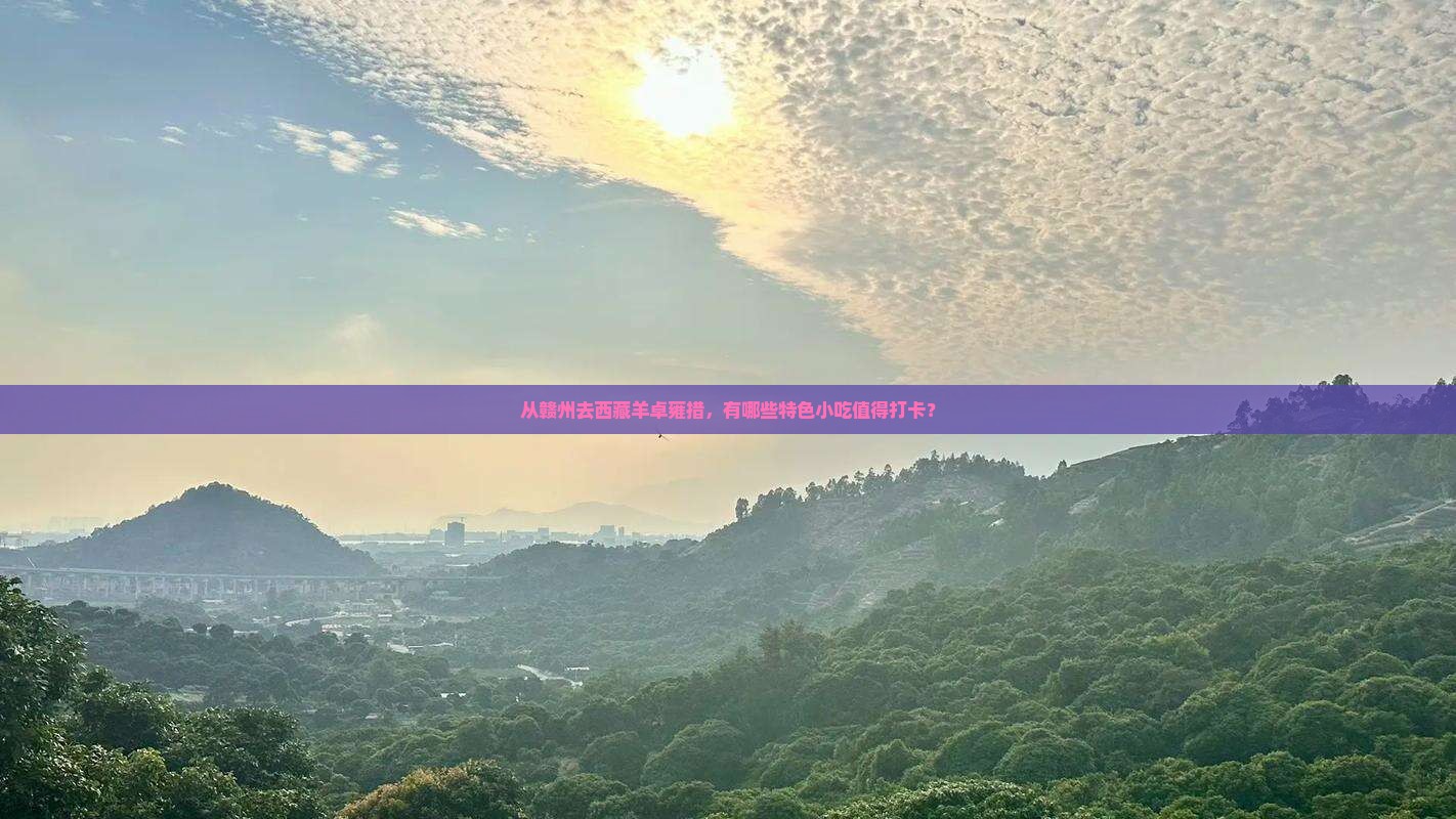 赣州到西藏羊卓雍措旅游小吃
