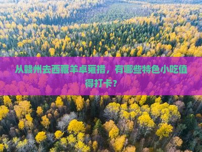 赣州到西藏羊卓雍措旅游小吃