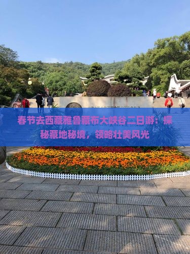 春节去西藏雅鲁藏布大峡谷二日游