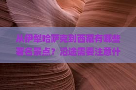 伊犁哈萨克去西藏景点 伊犁哈萨克去西藏景点