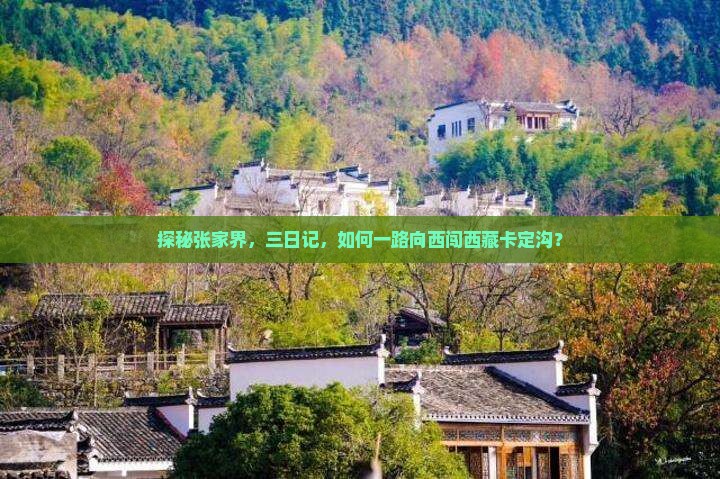 张家界去西藏卡定沟三日游