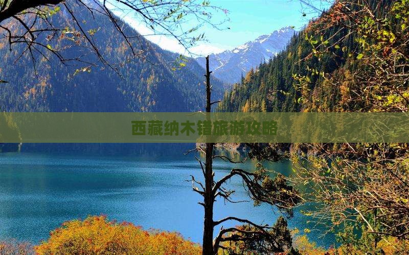 百色去西藏纳木措攻略