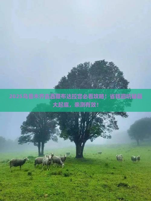 乌鲁木齐去西藏布达拉宫攻略