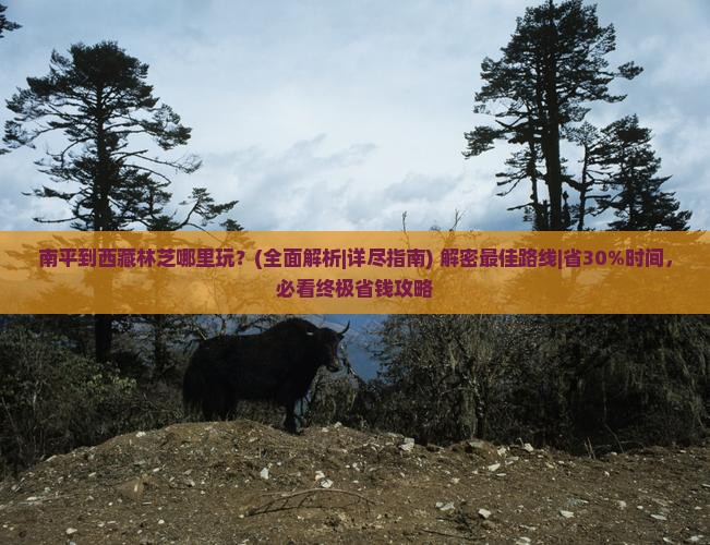 南平到西藏林芝哪里玩