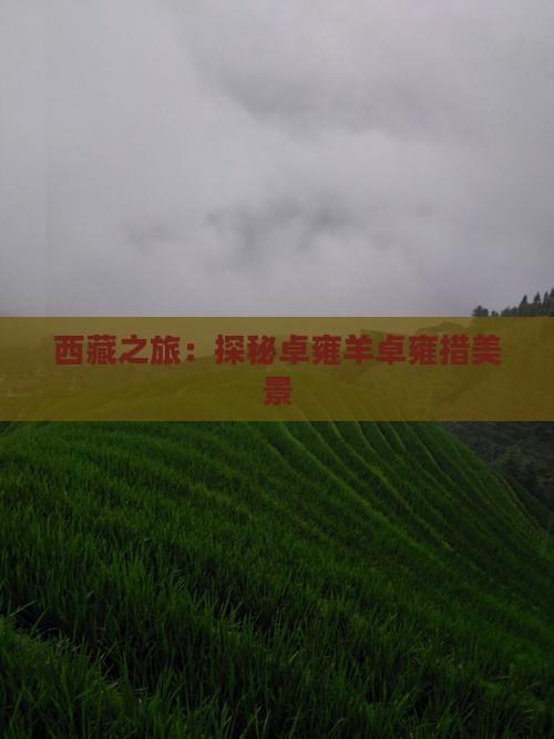 德阳到西藏羊卓雍措景点