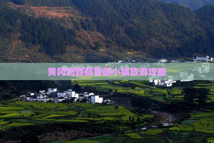黄冈去西藏鲁朗小镇攻略