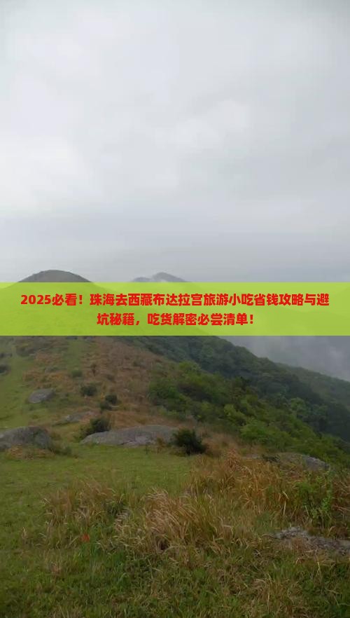 珠海去西藏布达拉宫旅游小吃