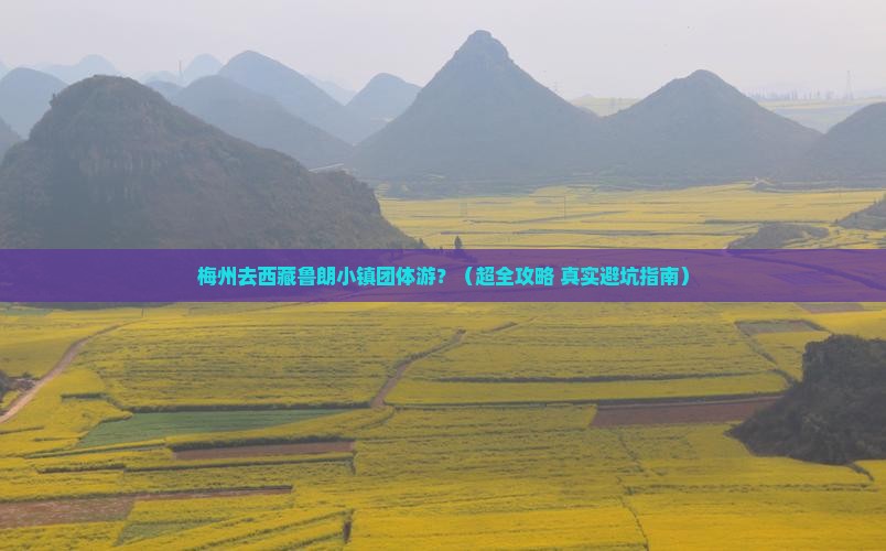 梅州到西藏鲁朗小镇团体旅游
