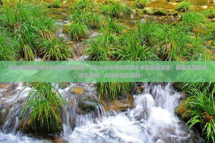 株洲到西藏珠峰大本营大型旅游团