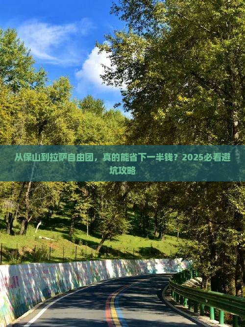 保山到西藏拉萨自由团