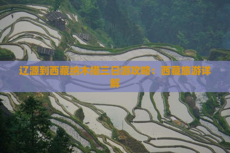 辽源到西藏纳木措三日游