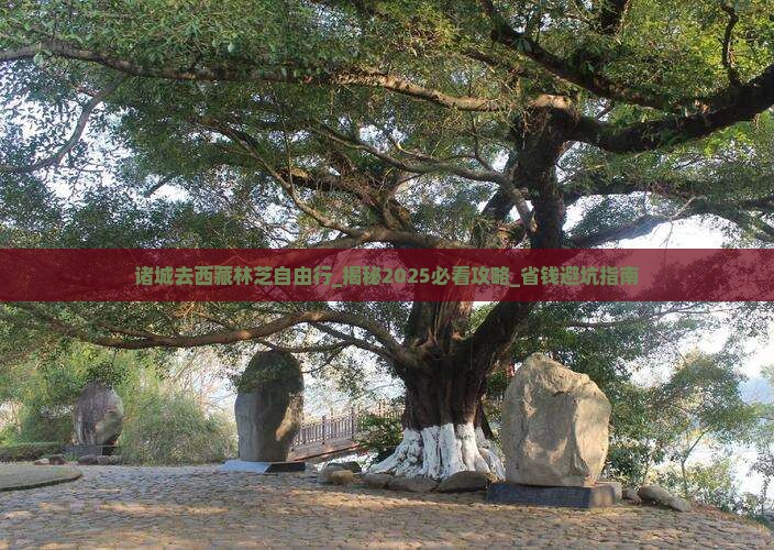 诸城去西藏林芝自由行