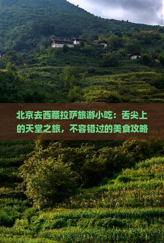 北京去西藏拉萨旅游小吃