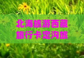 北海去西藏卡定沟旅行社