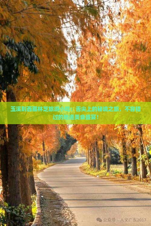 玉溪到西藏林芝旅游小吃 玉溪到西藏林芝旅游小吃