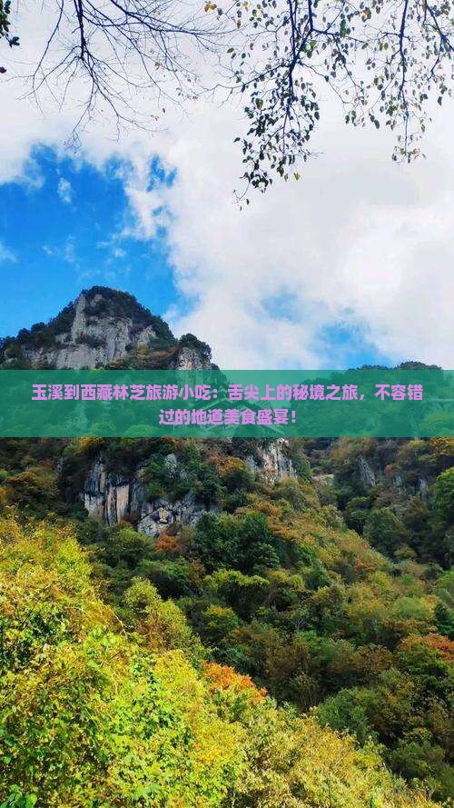 玉溪到西藏林芝旅游小吃 玉溪到西藏林芝旅游小吃