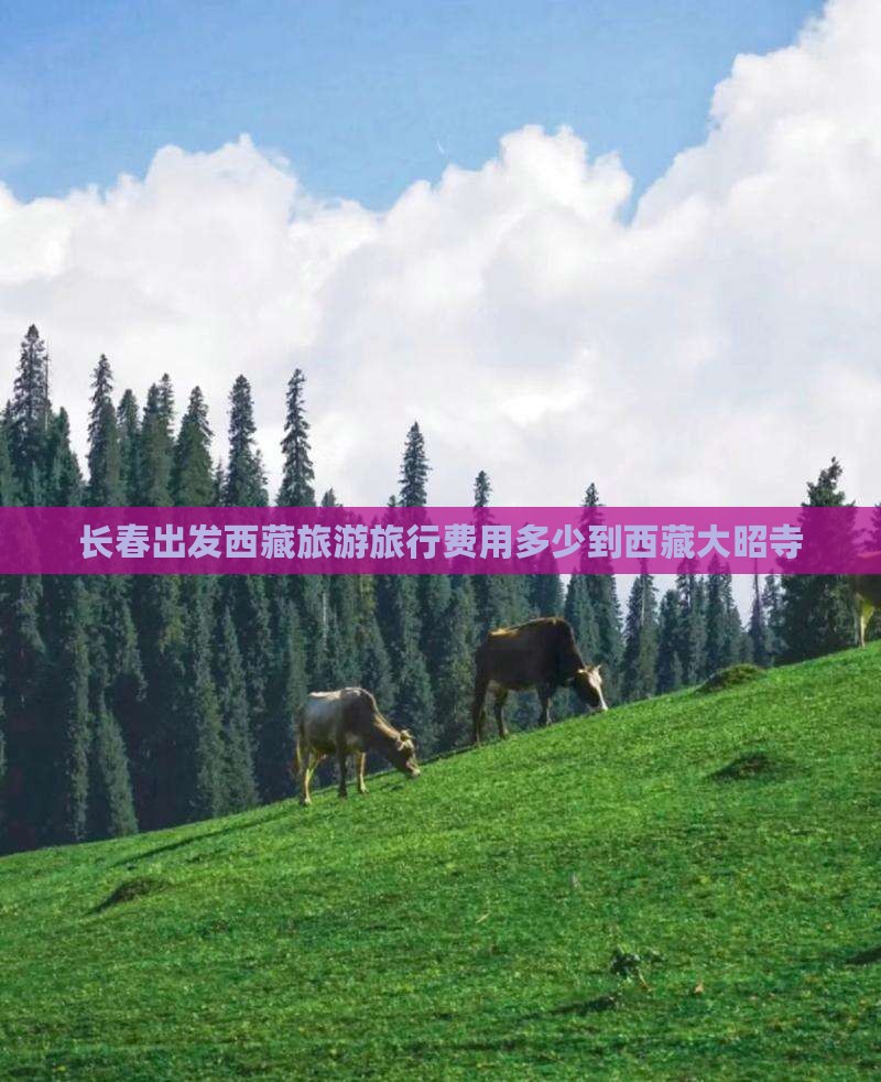长春到西藏大昭寺旅行社 长春到西藏大昭寺旅行社
