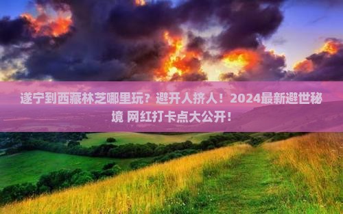 遂宁到西藏林芝哪里玩