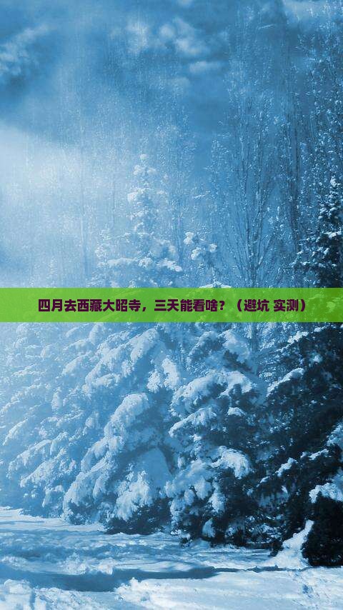 四月到西藏大昭寺三日游