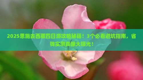 恩施到西藏四日游