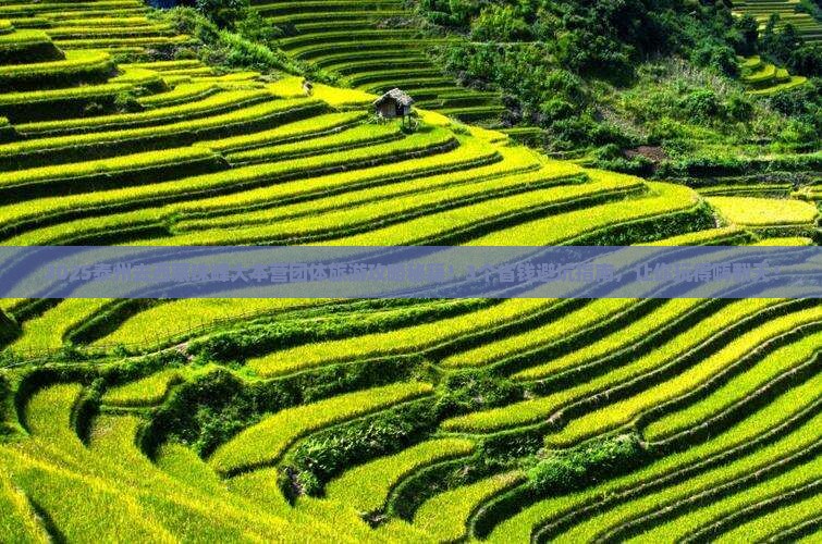 泰州去西藏珠峰大本营团体旅游