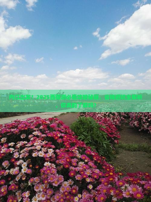 内江去西藏大型旅游团
