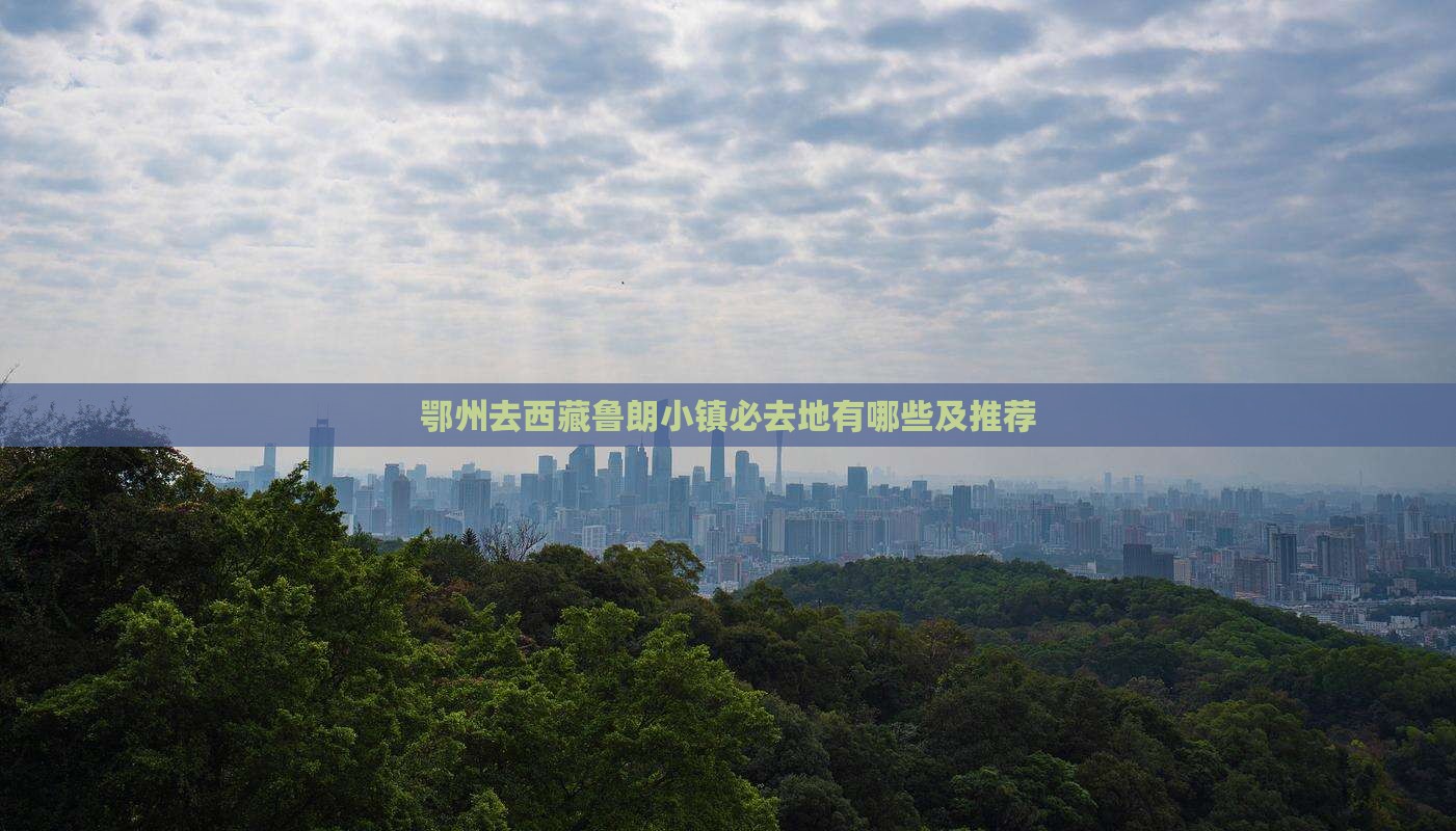 鄂州去西藏鲁朗小镇必去地