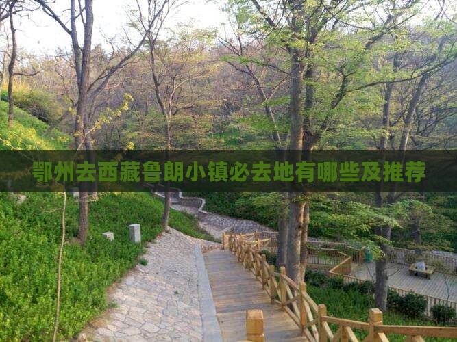 鄂州去西藏鲁朗小镇必去地