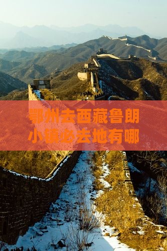 鄂州去西藏鲁朗小镇必去地