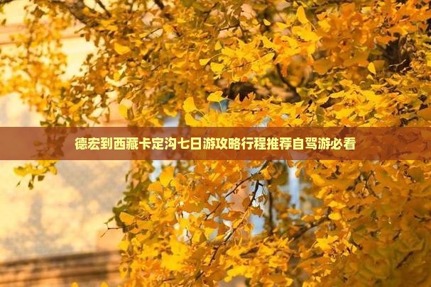 德宏到西藏卡定沟七日游