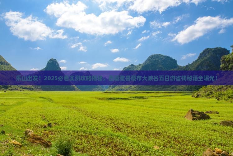 乐山去西藏雅鲁藏布大峡谷五日游
