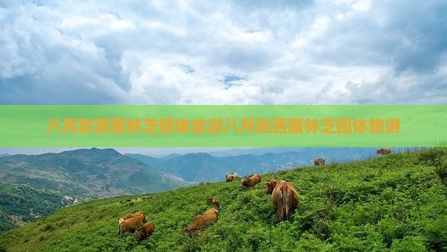 八月到西藏林芝团体旅游