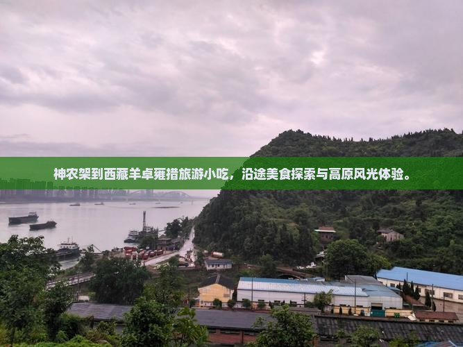 神农架到西藏羊卓雍措旅游小吃