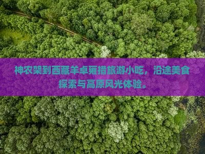 神农架到西藏羊卓雍措旅游小吃