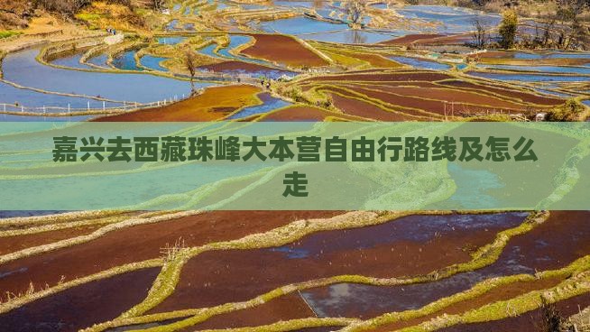 嘉兴去西藏珠峰大本营自由行