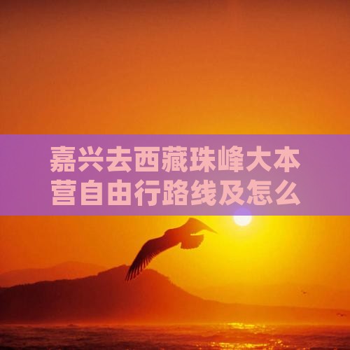嘉兴去西藏珠峰大本营自由行