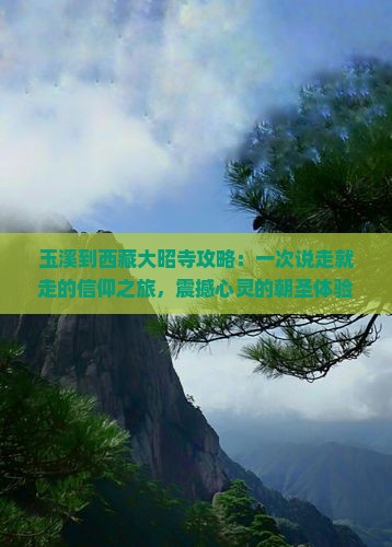 玉溪到西藏大昭寺攻略