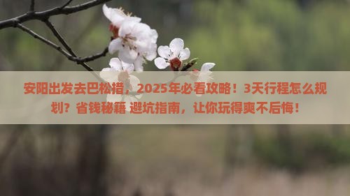 安阳去西藏巴松措攻略 安阳去西藏巴松措攻略