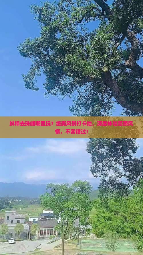 蚌埠去西藏珠峰大本营哪里玩