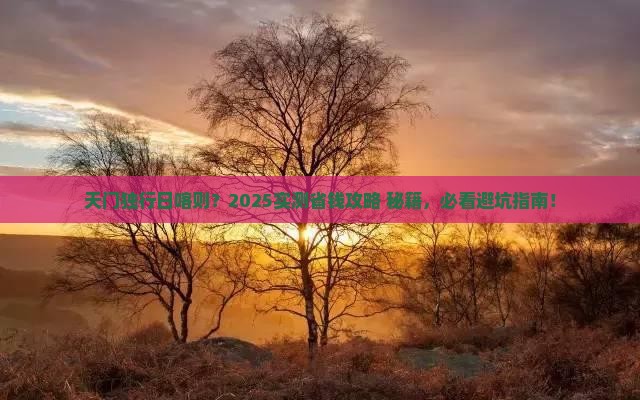 天门去西藏日喀则个人游