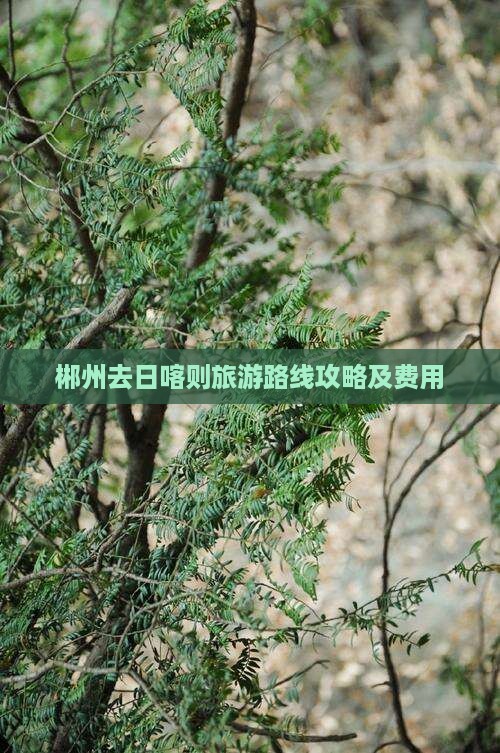 郴州去西藏日喀则旅游
